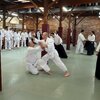 IMG_3144.jpg